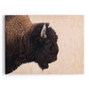 American Bison Maple Box Front View Four Hands