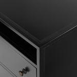 Belmont 2 Drawer Nightstand - Black