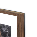 Char VI by Four Hands Art Studio Rustic Walnut Frame Detail Four Hands