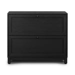 Millie Nightstand Drifted Matte Black Veneer Front Facing View 233093-002