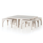 Amara Coffee Table Nesting Tables