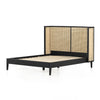 Antonia Cane Bed Brushed Ebony Angled View without Mattress