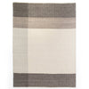 Color Block Chevron Rug INOM-007-0912