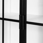 Glass Door Iron Cabinet