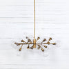 Pellman Matte Brass Chandelier Four Hands CCAR-66