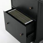 Shadow Box Executive Desk File Drawer